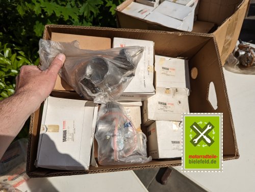 PXL_20240517_150413125